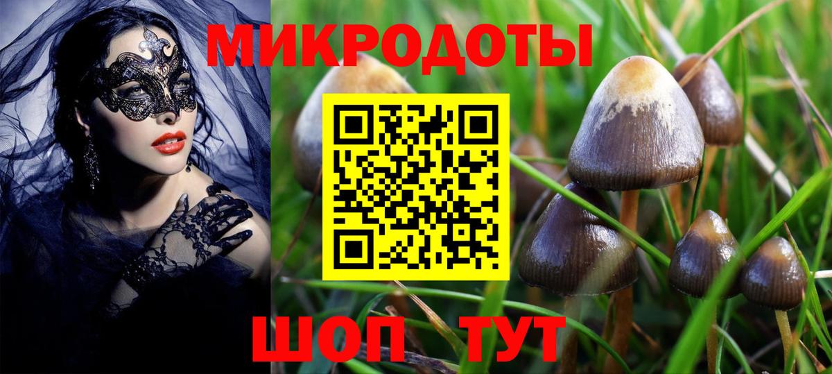 Мценск  Псилоцибиновые грибы MAGIC MUSHROOMS  Вход с VPN 